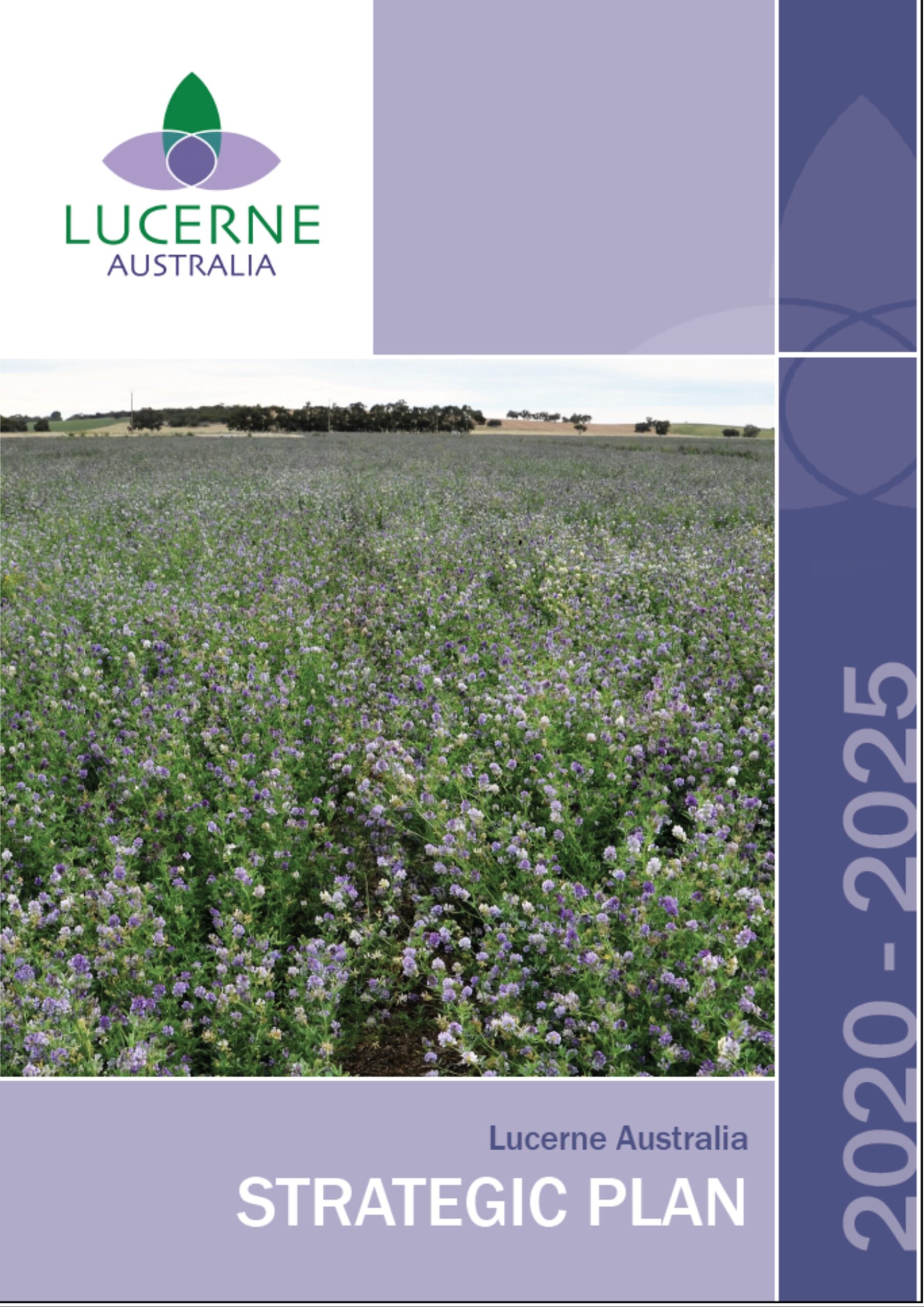 lucerne production business plan